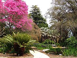 Archivo:LA County Arboretum - knoll