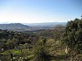 Lombillo de Los Barrios