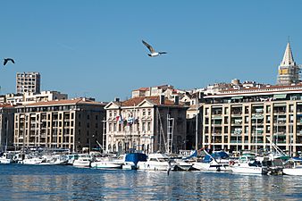 Marseille 20110116 14
