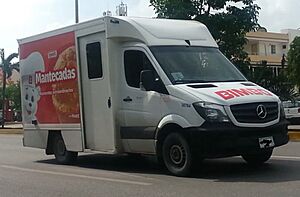 Archivo:Mercedes-Benz Sprinter Bimbo
