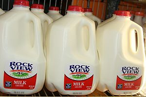Archivo:Milk jugs in a row