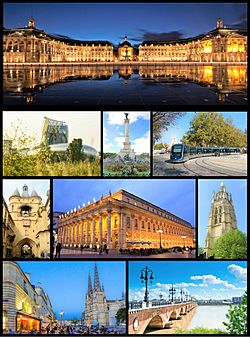 Montage Bordeaux 1.jpg