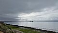Muelle storni madryn