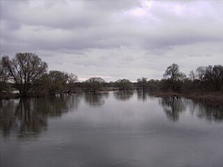Mulde bei Dessau 1.JPG