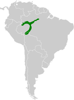 Distribución geográfica del hormiguero de Humaitá.