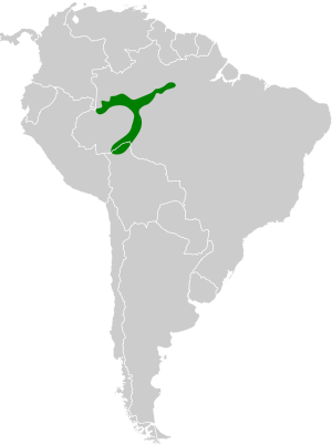 Archivo:Myrmelastes humaythae map