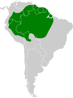 Distribución geográfica del hormiguerito pigmeo.