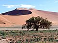Namib Dos