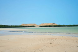 Parroquia Alta Guajira municipio Guajira Venezuela.png