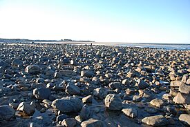 Plum Island MA Ocean Beach DSC 0255 AD.JPG