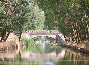 Archivo:Puente del Canal de Castilla - Medina de Rioseco