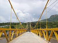 Archivo:Puentes en La Pintada 04