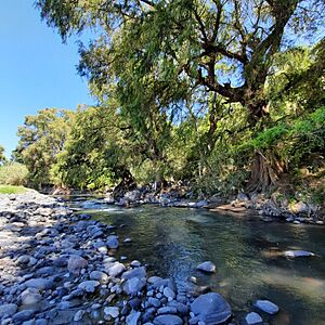 Archivo:Rio Nexapa por debajo del Puente Negro