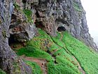 Cuevas Inchnadamph. Las entradas a varias pequeñas cuevas en la base del acantilado de roca. En la hierba se observan las marcas de los caminos de entrada.