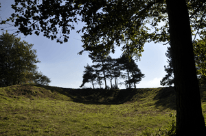 Archivo:Scutchamer