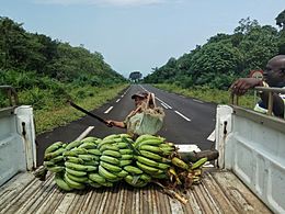 Solidaridad en la isla de Bioko (Guinea Ecuatorial)