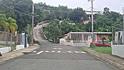 Street in Palmas, Arroyo, Puerto Rico.jpg