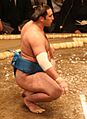 Sumo May09 Tochinoshin