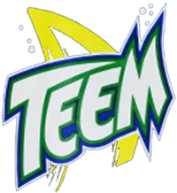 Teem contemporary log.png