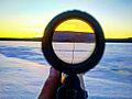 View through a sniper scope of a hunting rifle