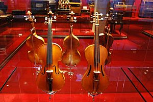 Archivo:Violins (museum)