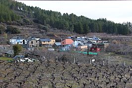 Vista general de San Miguel de Arganza.jpg