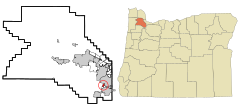 Washington County Oregon Incorporated and Unincorporated areas King City Highlighted.svg
