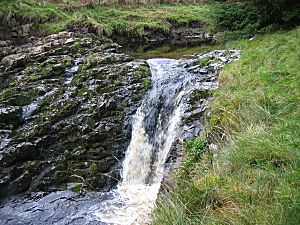 Archivo:Waterfall, Usway Burn - geograph.org.uk - 1561467
