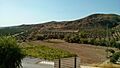 Alamedilla IMG 20140828 175334 280