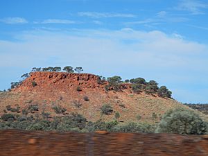 Archivo:Australian Outback Landscape - panoramio (6)