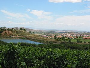Archivo:Balsa de Medrano