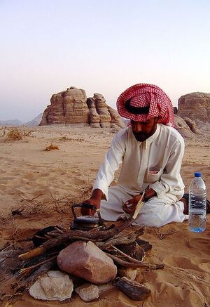 Archivo:Bedouinnasserwadirum