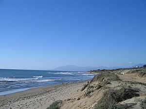 Archivo:Cabopino beach, Costa del Sol, Spain 2005