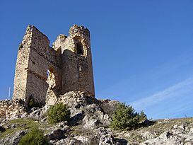 Castillo de Pelegrina (3).jpg