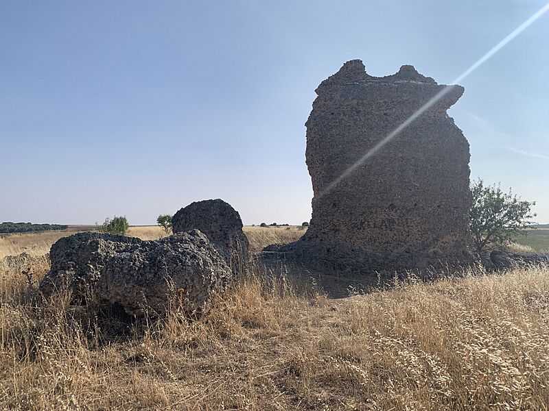 Castillo de Pozaldez 2