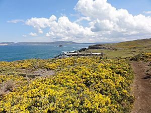 Archivo:Costa de Dexo (A Coruña, Galicia, España) 01