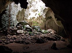 Cueva Lucero en Barrio Guayabal, Juana Díaz, Puerto Rico.jpg