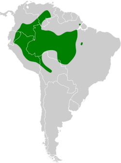 Distribución geográfica del dacnis ventriamarillo.