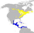 Dendroica virens map