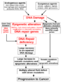 Diagram Damage to Cancer Wiki 300dpi