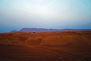 Archivo:Dubai Wüste