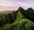 El Picacho Olá