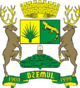 Escudo de Dzemul.png
