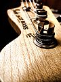 Fender jazz bass vertical