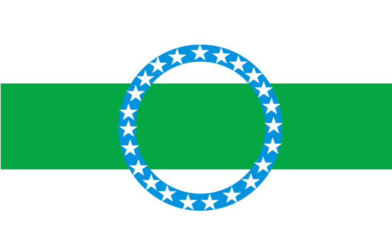 Flag of Olancho Department