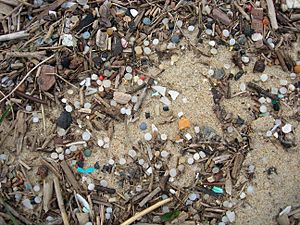 Archivo:Granulés plastiques industriels sur une plage de la côte Aquitaine