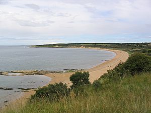 Archivo:Gullane Beach