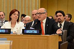 Archivo:Héctor Timerman at the UN, June 2013