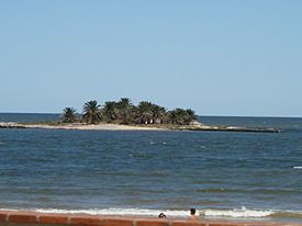 Isla de las Gaviotas - panoramio.jpg