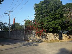 Itzincab (Umán), Yucatán (02).jpg